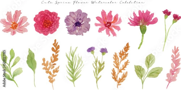 Fototapeta a set of cute  flower and leaf watercolor element