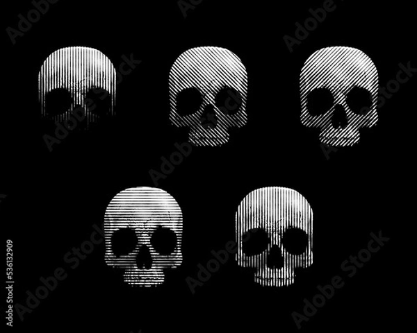 Obraz Engraved skull vector black and white illustration. Halftone art