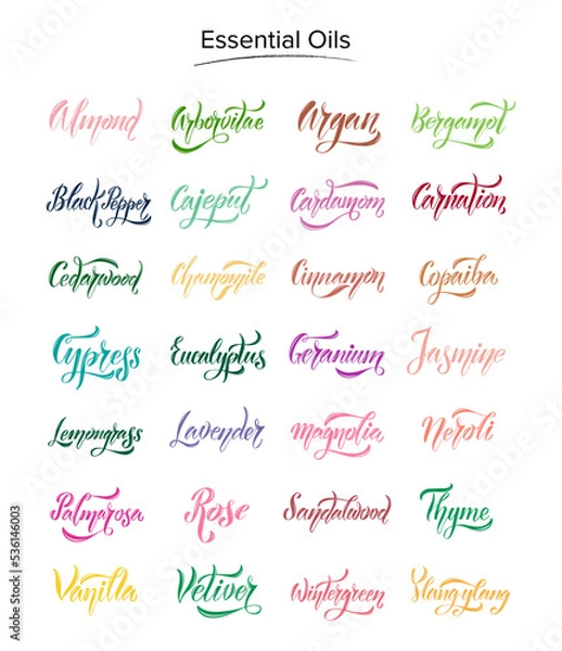 Fototapeta A set of hand-drawn names of 28 essential oils in different colors for labels, cosmetics, decoration. 