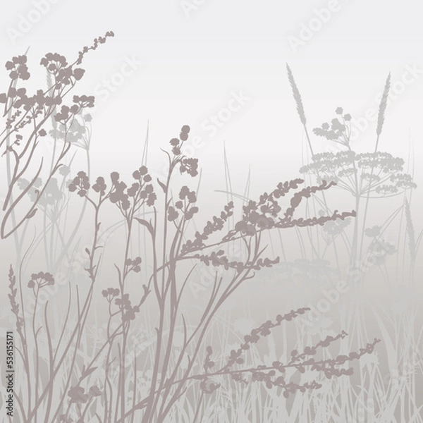 Fototapeta wallpaper with a silhouette of wild herbs in the haze of sunset and a romantic mood