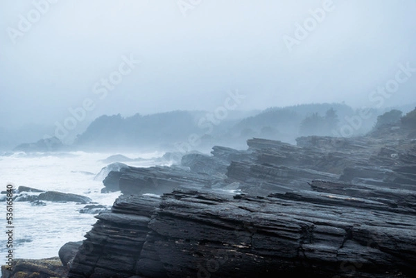 Obraz Paisaje de la costa rocosa con rocas metamórficas mirando al mar con espuma y niebla húmeda de la costa en ascenso hacia el bosque de fondo en día de lluvia y nubes en ambiente frío al sur de chile