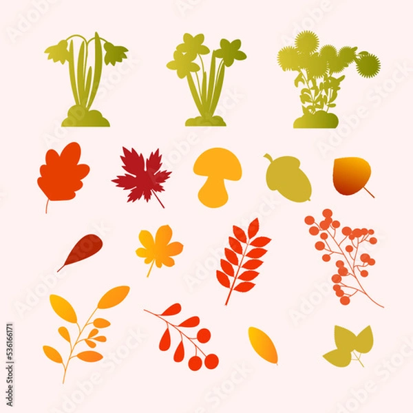 Obraz contours of autumn leaves