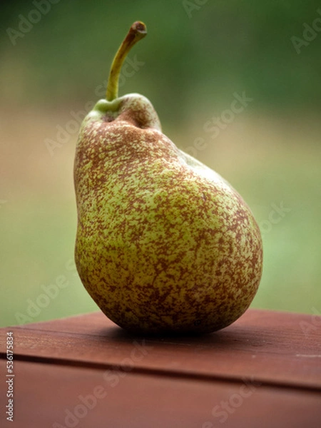 Obraz Just a pear