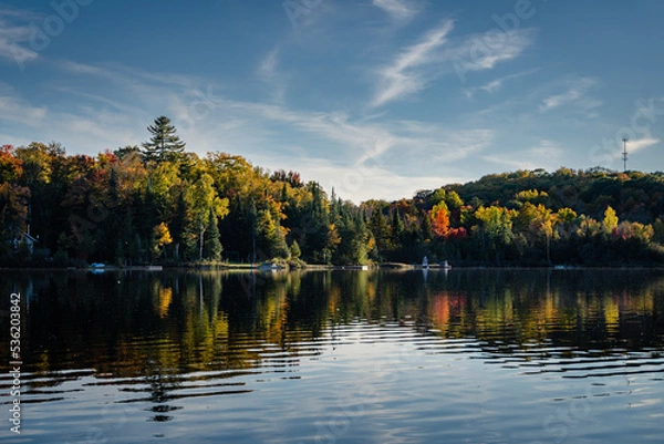 Fototapeta Cottage docks line the shore of this small peaceful lake.