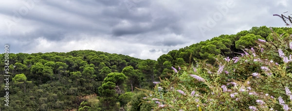 Fototapeta Beautiful cloudy sky over the green hills
