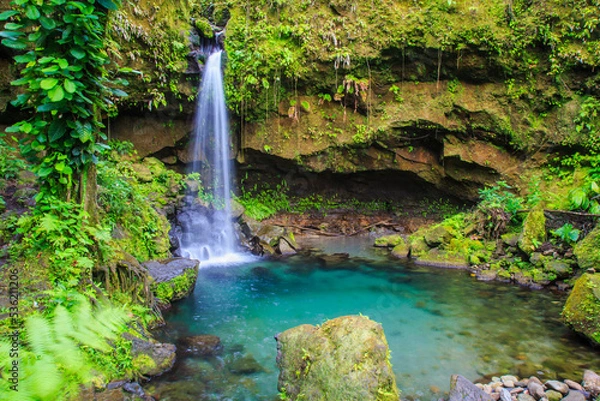 Obraz Emerald Pool in the lush rain forest  is a beautiful jewel of Dominica in the Caribbean