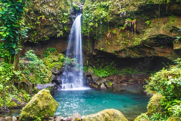 Obraz Emerald Pool in the lush rain forest is a beautiful jewel of Dominica in the Caribbean
