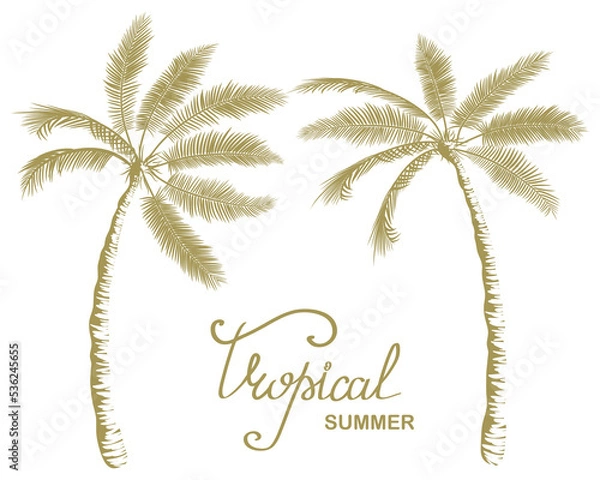 Obraz Poster on a beach summer theme. Two palm trees are tilted towards each other. Hand drawn text Tropical summer. Palm tree silhouette, outline drawing. Hawaiian pattern, vector illustration. Flyer, ad