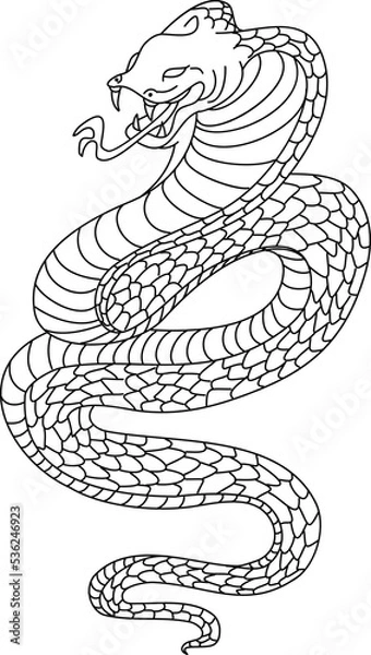 Obraz Outline of snake vector. Hand drawn cobra isolate on white background.

