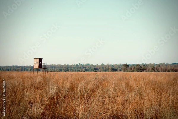 Obraz Hochsitz im Moor