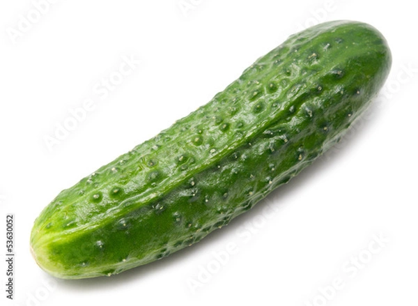Obraz cucumber