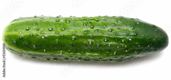 Obraz cucumber