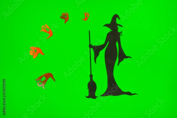 Obraz Halloween Witch on the green screen background.