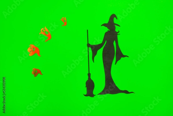 Obraz Halloween Witch on the green screen background.