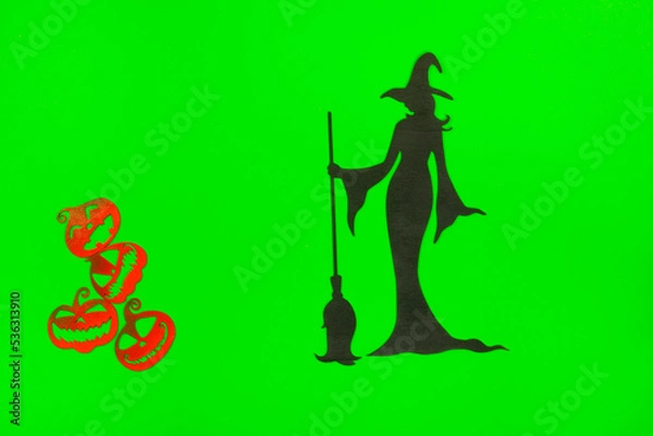 Obraz Halloween Witch on the green screen background.
