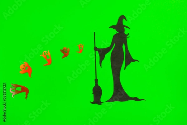 Obraz Halloween Witch on the green screen background.