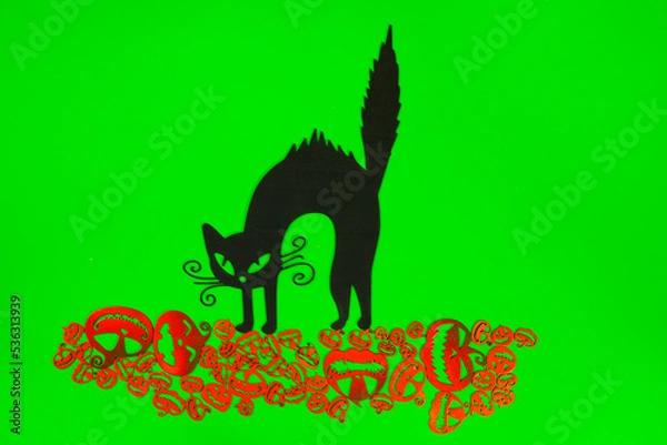 Obraz Halloween Pumpkins and Black cat on the green screen background.
