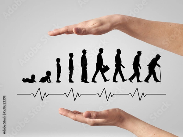 Obraz Human life cycle. Person growing up from baby to old age.
