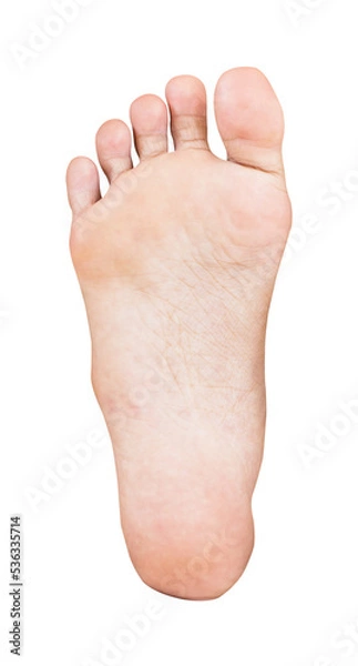 Fototapeta foot of a person isolate and save as to PNG file