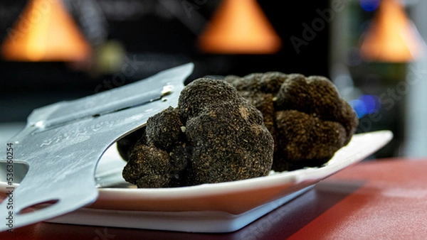 Obraz Truffes noires 