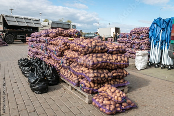 Fototapeta Selling potatoes in mesh bags from pallets at a farmer's market. Autumn sale of vegetables.