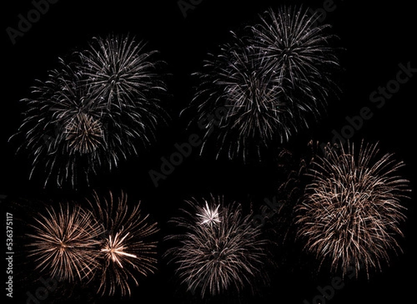 Obraz fireworks in the night sky