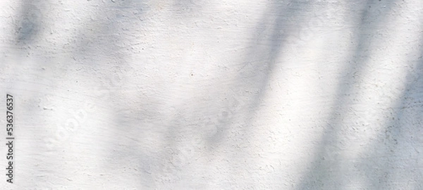 Fototapeta white wall textured background with leaf shadows and tree branches