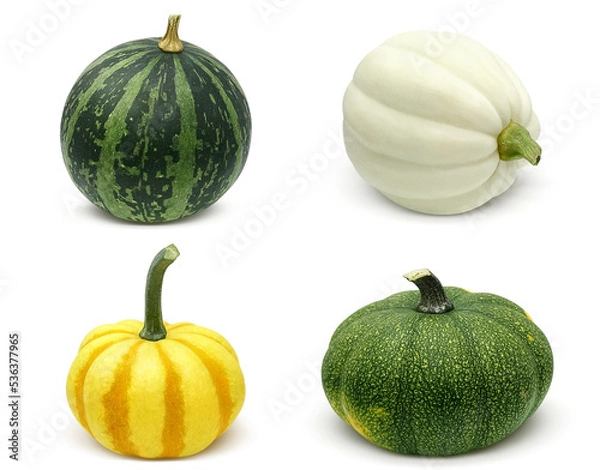 Obraz かぼちゃ ハロウィン おもちゃかぼちゃ イラスト リアル 単体