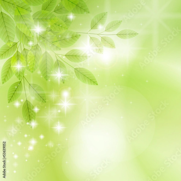 Fototapeta fragrance2