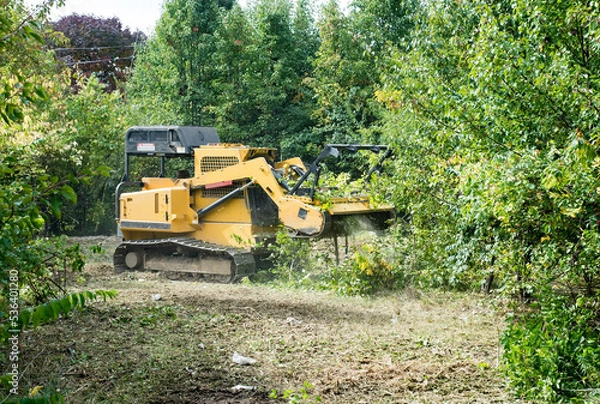 Obraz Forestry Mulcher Grinding Up Underbrush