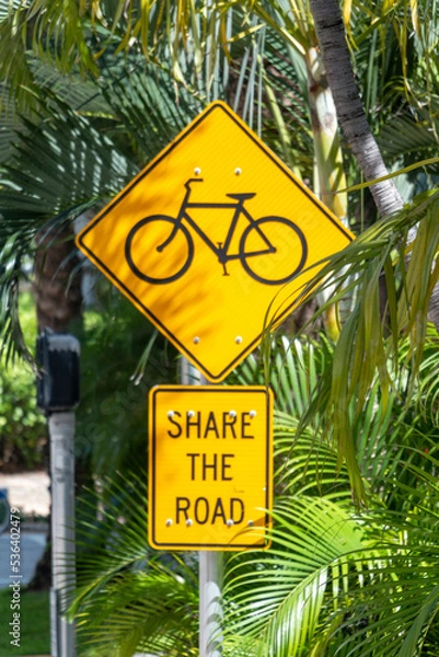 Obraz Share the road