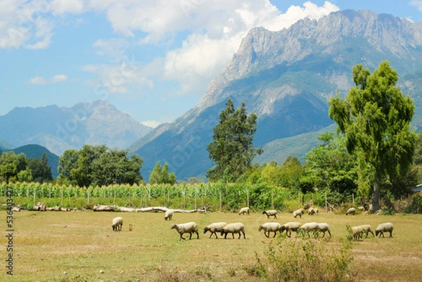 Obraz landscape with mountains