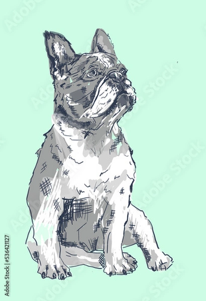 Obraz French bulldog watercolor