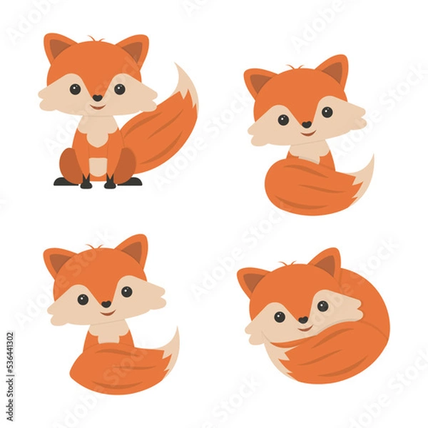 Fototapeta set of cute fox cubs on a white background