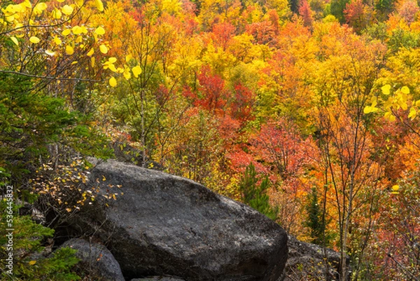 Fototapeta 2022 Fall colors at Algonquin National Park in Ontario, Canada 