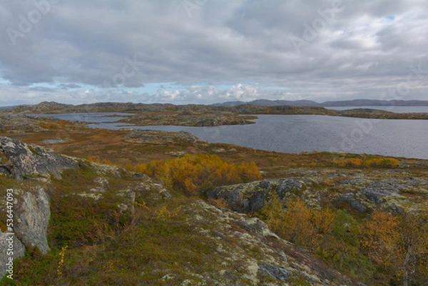 Fototapeta In autumn, tundra with a lake and trees with yellow leaves.
