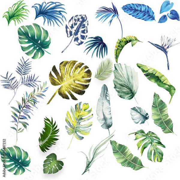 Obraz tropical colored leaves