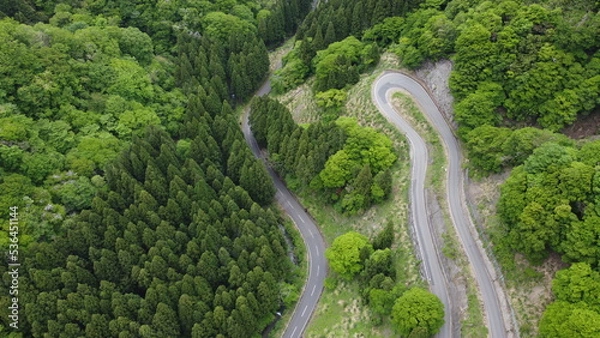 Obraz road in the forest