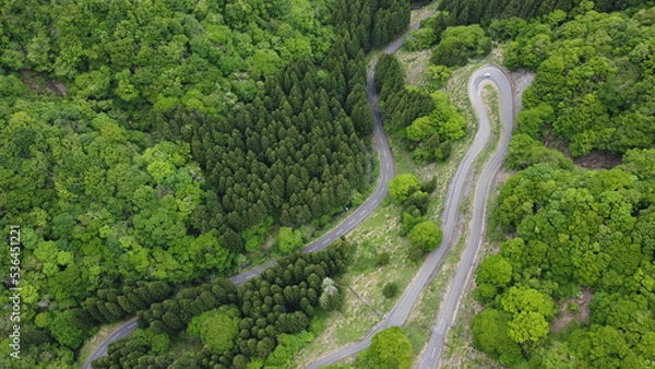 Obraz road in the forest