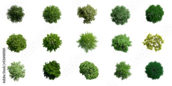 Fototapeta Collection of 3D Top view Green Trees Isolated on PNGs transparent background , Use for visualization in architectural design or garden decorate	