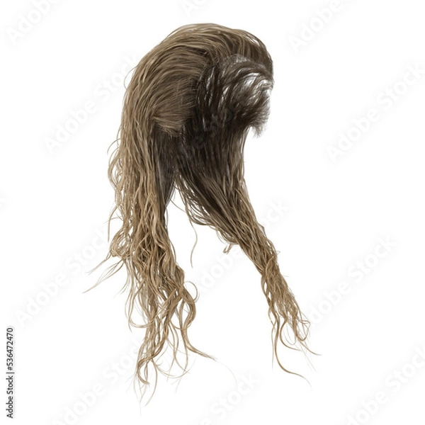 Obraz Wet long hair on isolated background, 3D render, 3D illustration