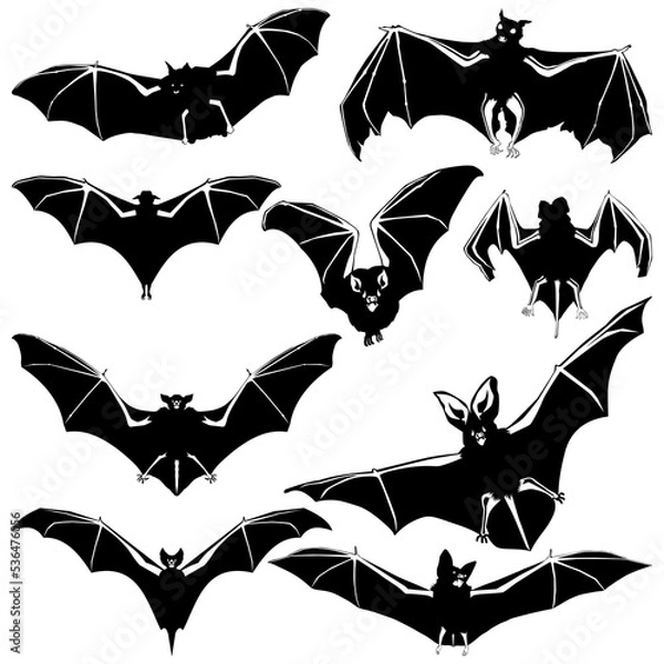 Obraz Silhouettes of bats set on white background,Vector set of bats on an isolated transparent background.