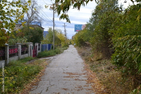 Fototapeta path to the beach