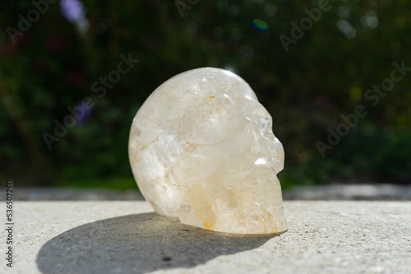 Obraz Crystal skull near house in front of garden.