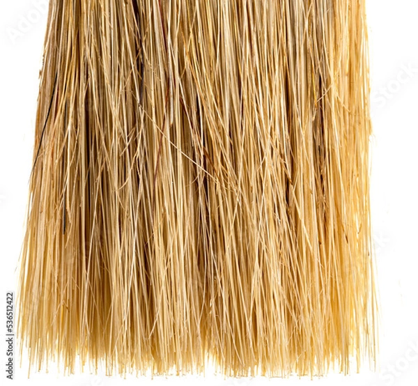 Fototapeta brush seta close up textures 