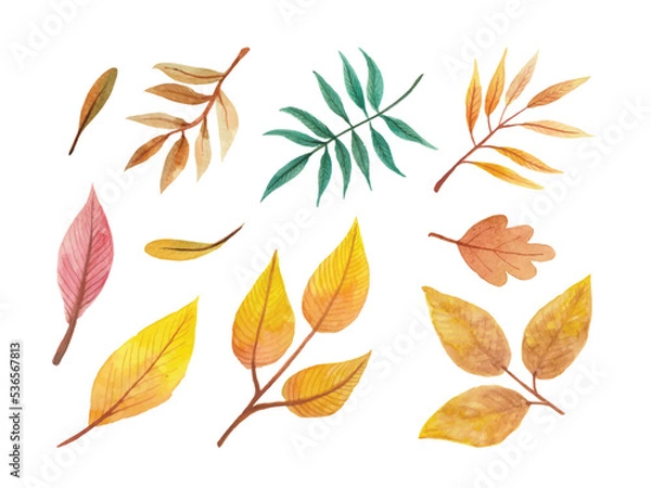 Obraz Autumn watercolor leaves set. Set of vector autumn orange leaves. Aspen and oak autumn leaves.