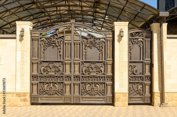 Obraz iron gate with wicket