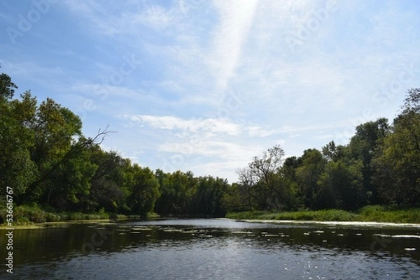 Obraz River in the park