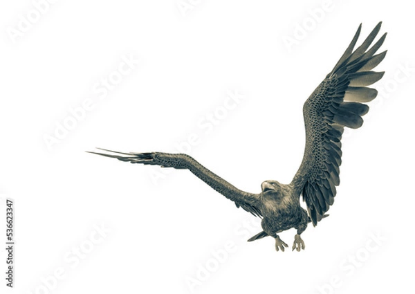 Obraz deepsea eagle hunting on white background with space copy