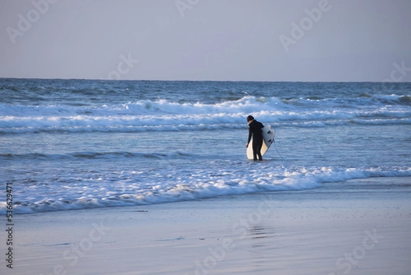 Obraz Surfer going out in the waves